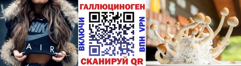 Псилоцибиновые грибы GOLDEN TEACHER  Купить  Белоусово 